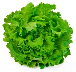 imagine cu salata verde